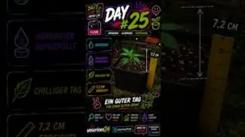Screenshot of the Video "🌱 Grow Update – Day #25: Back to normal"
