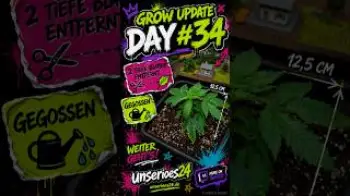 Screenshot of the Video "🌱 Grow Update – Day #34"