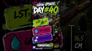 Screenshot of the Video "🌱 Grow Update – Day #40"