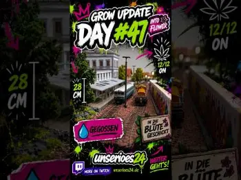Screenshot of the Video "🌱 Grow Update – Day #47: Ab in die Blüte! 🌸"