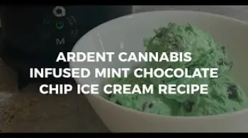 Screenshot of the Video "Ardent Cannabis Infused Mint Chocolate Chip Ice Cream Recipe"