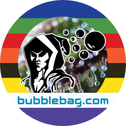 Bubble Bags