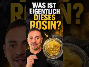 Screenshot of the Video "Was ist Rosin? Wir klären auf: Solventless"