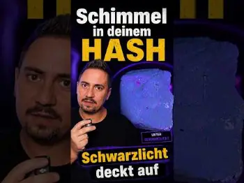 Screenshot of the Video "Hast du Schimmel im H4sh? Vorsicht vor den roten Punkten"