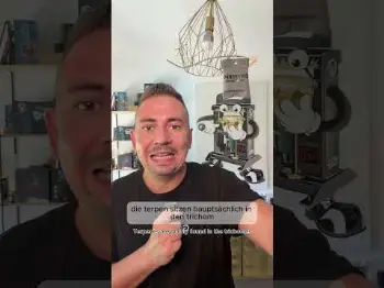 Screenshot of the Video "ACHTUNG: laute TERPS! Was sind Terpene?"