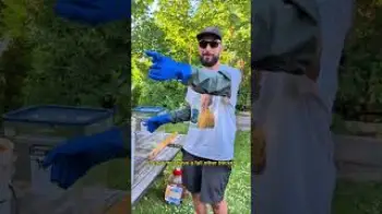Screenshot of the Video "Making Fish Amino Acid Fertilizer From Salmon Scraps 🐟🌱"