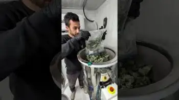Screenshot of the Video "Hash lab in the House... Part 10"