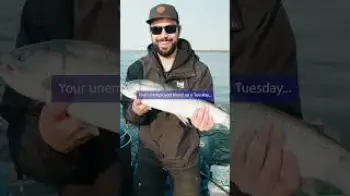 Screenshot of the Video "Three unemployed friends, one pontoon and one BubbleTek"