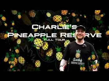 Screenshot of the Video "Charlie's Pineapple Reserve Lab Tour"