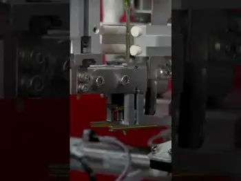 Screenshot of the Video "Master Clone | New release"