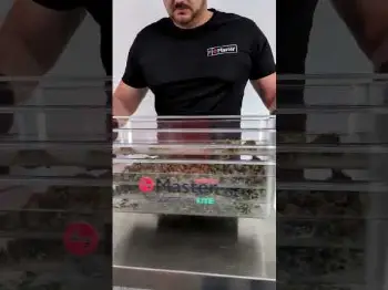 Screenshot of the Video "MS Sorter 100 LiTE | Sort your cannabis flowers"