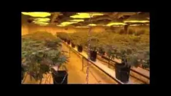 Screenshot of the Video "Indoor Canadian dry"