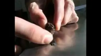 Screenshot of the Video "1024  