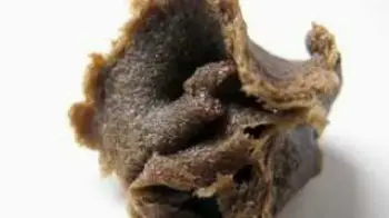 Screenshot of the Video "Extracción Bubble Hash - medicalSeedS 2015"