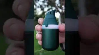 Screenshot of the Video "The Pine Seasonal Color Proxy"