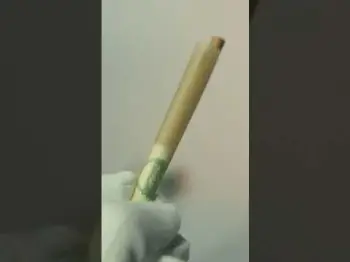 PreRolled Regular Size Short Cones 💚🫂purize.com #aktivkohlefilter #purize #new