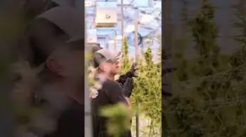 Screenshot of the Video "Rosin Evolution takes a visit to Kush Family OG's! #rosinevolution"