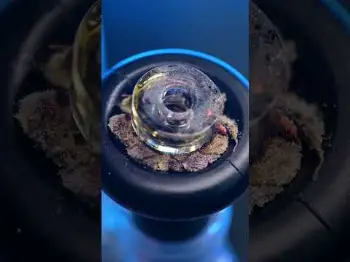 Screenshot of the Video "ROSIN EVOLUTION  #rosinevolution"