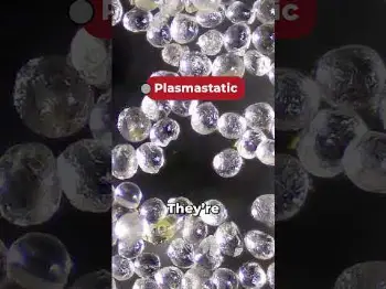 Screenshot of the Video "Where did the terps go!!!"