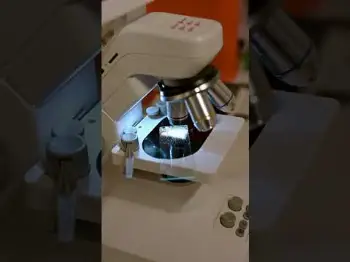 Screenshot of the Video "New toys!"