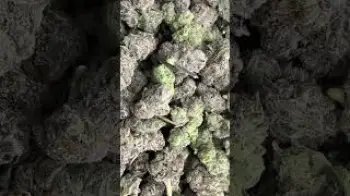Screenshot of the Video "From frozen ❄️to fire 🔥in 24 hours"
