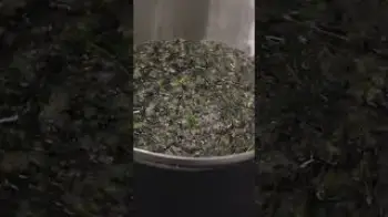 Screenshot of the Video "Meet: The Triminator Maker™"