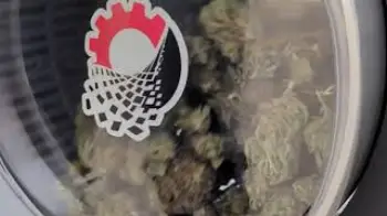 Screenshot of the Video "Equipment Demos during MJBizCon @ Demo in the Desert"
