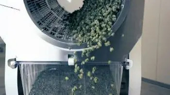 Screenshot of the Video "Triminator Is Evolving | Mobius Trimmer"