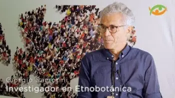 Screenshot of the Video "Hablamos con Giorgio Samorini en World Ayahuasca Conference - AYA 2019"