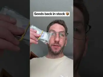 Screenshot of the Video "Endlich wieder Seeds back in stock 📦🌱"
