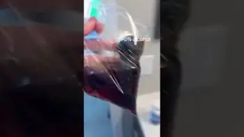 Screenshot of the Video "How to clean your pipe #viral #clean #glass #pipe #shorts #shortsvideo #shortsviral"