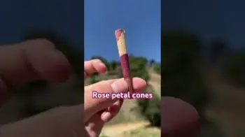 Screenshot of the Video "These cones are made from all natural, organic rose petals."
