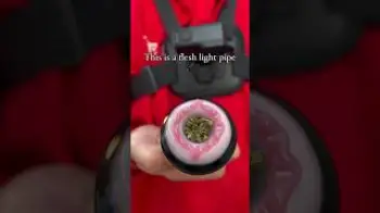 Screenshot of the Video "The perfect pipe for single guys 😂🔦 #light #pocket"
