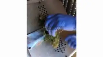 Screenshot of the Video "Live Demo of CenturionPro GC1 Bucker In Action"