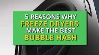 Screenshot of the Video "5 Reasons Why Freeze Dryers Make the Best Bubble Hash"