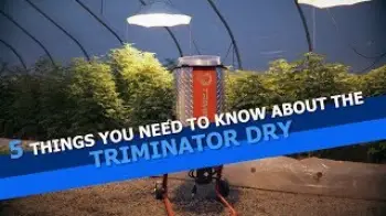 Screenshot of the Video "5 Things You Need to Know about the Triminator Dry Automatic Dry Bud Trimmer"