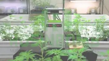 Screenshot of the Video "First Look: Rosinbomb M60 Electric Rosin Press"